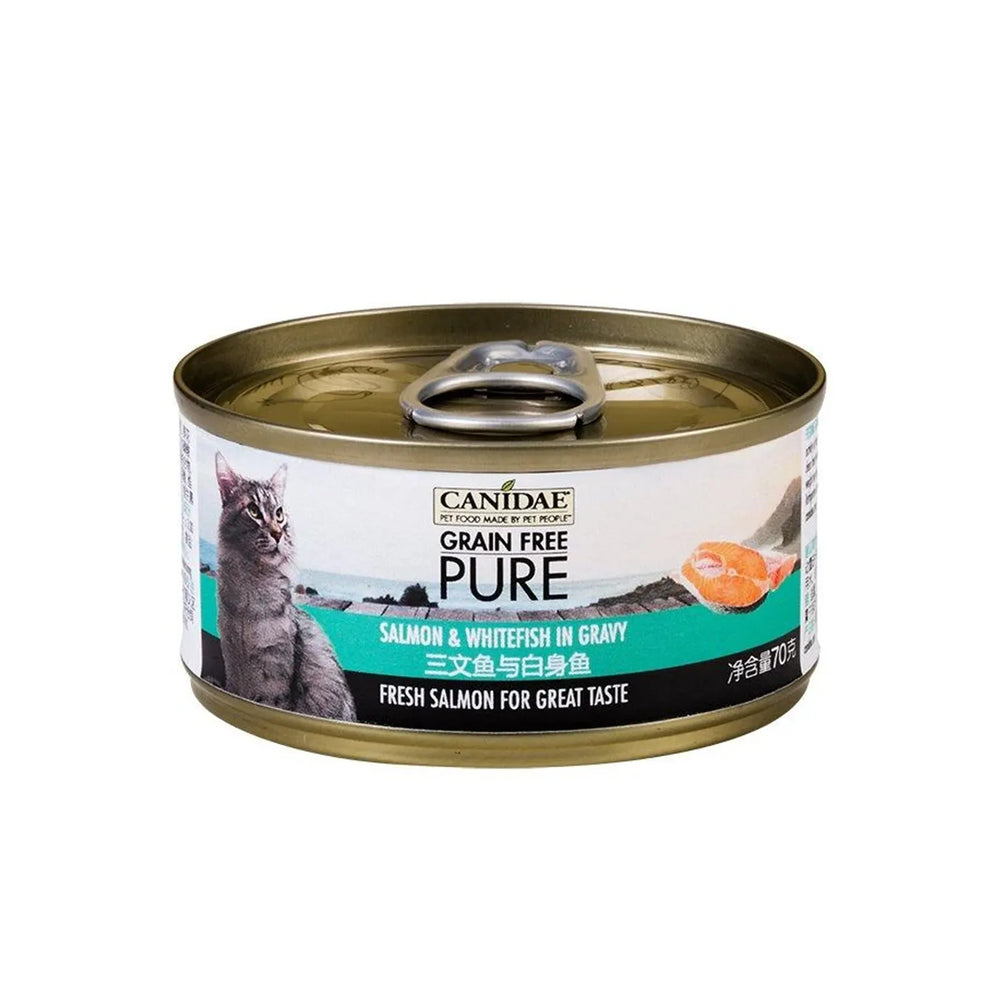 Canidae Pure Canned food for Cat - Salmon & Whitefish in gravy 70g