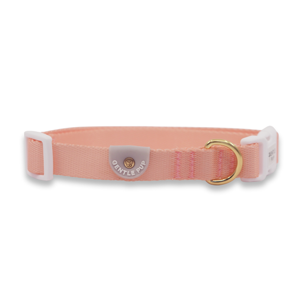 Gentle Pup - Dog Collar - Camelia