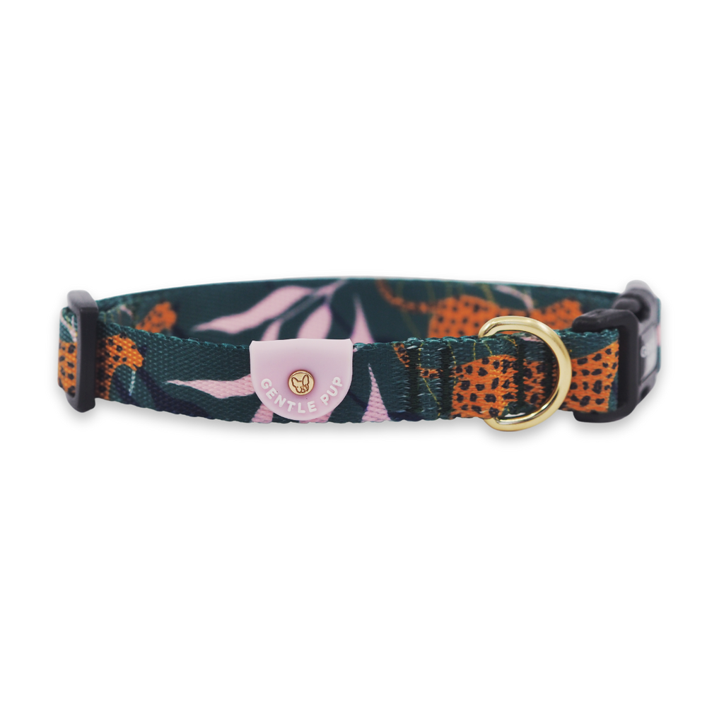 Gentle Pup - Dog Collar - Coco Congo