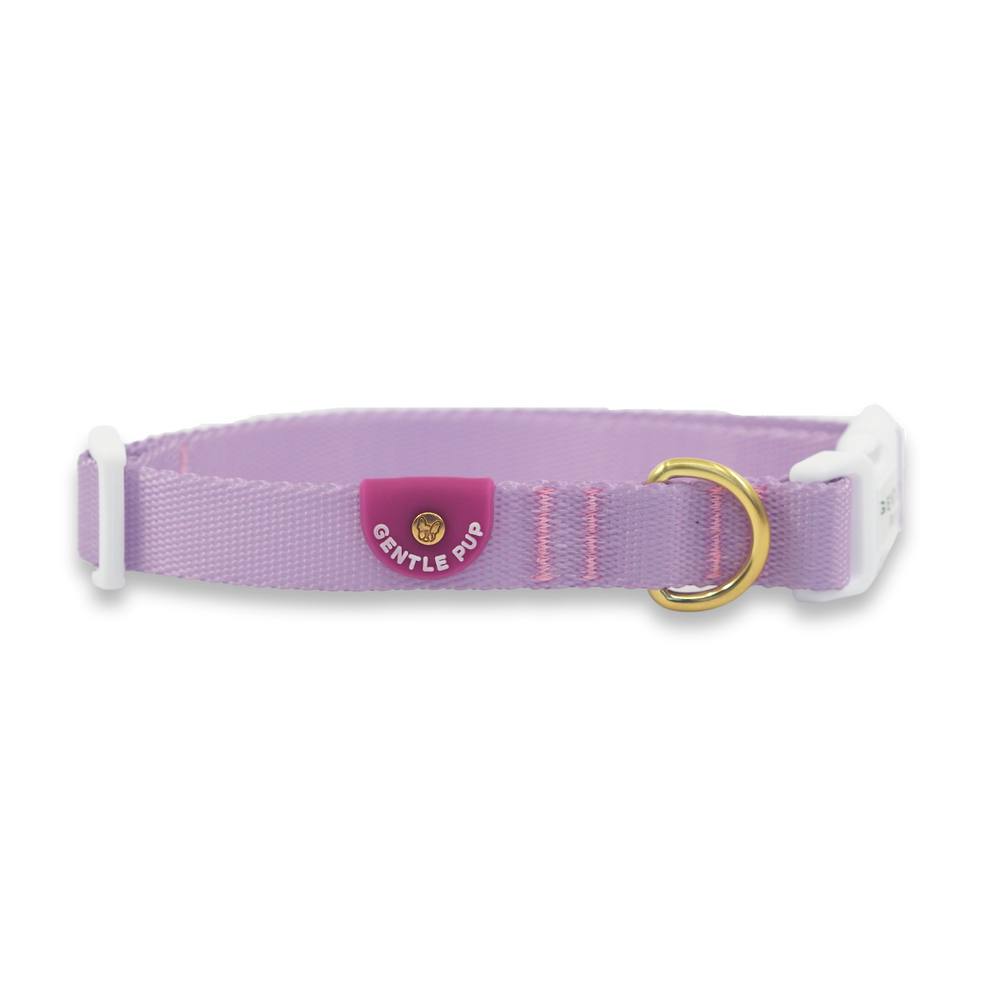 Gentle Pup - Dog Collar - Taro