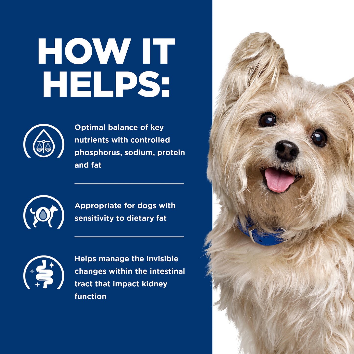 Hill's Prescription Diet - Canine Multi-Organ Support