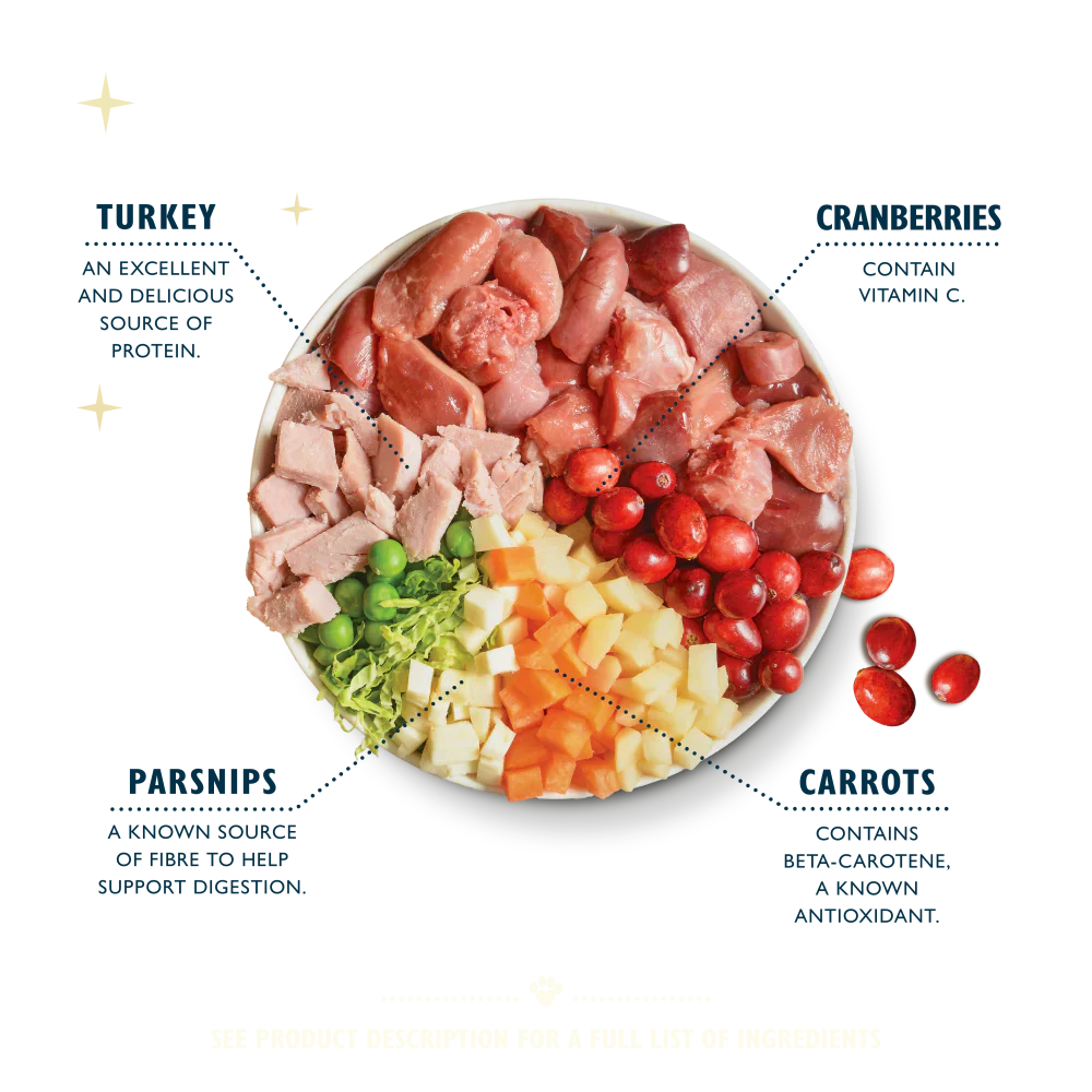 Lily's Kitchen - Turkey Christmas Dinner for Dogs 400g