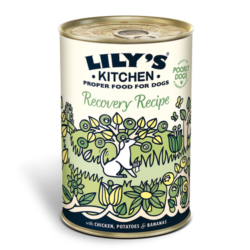Lily's Kitchen - Wet Food For Dogs - Recovery Recipe 400g