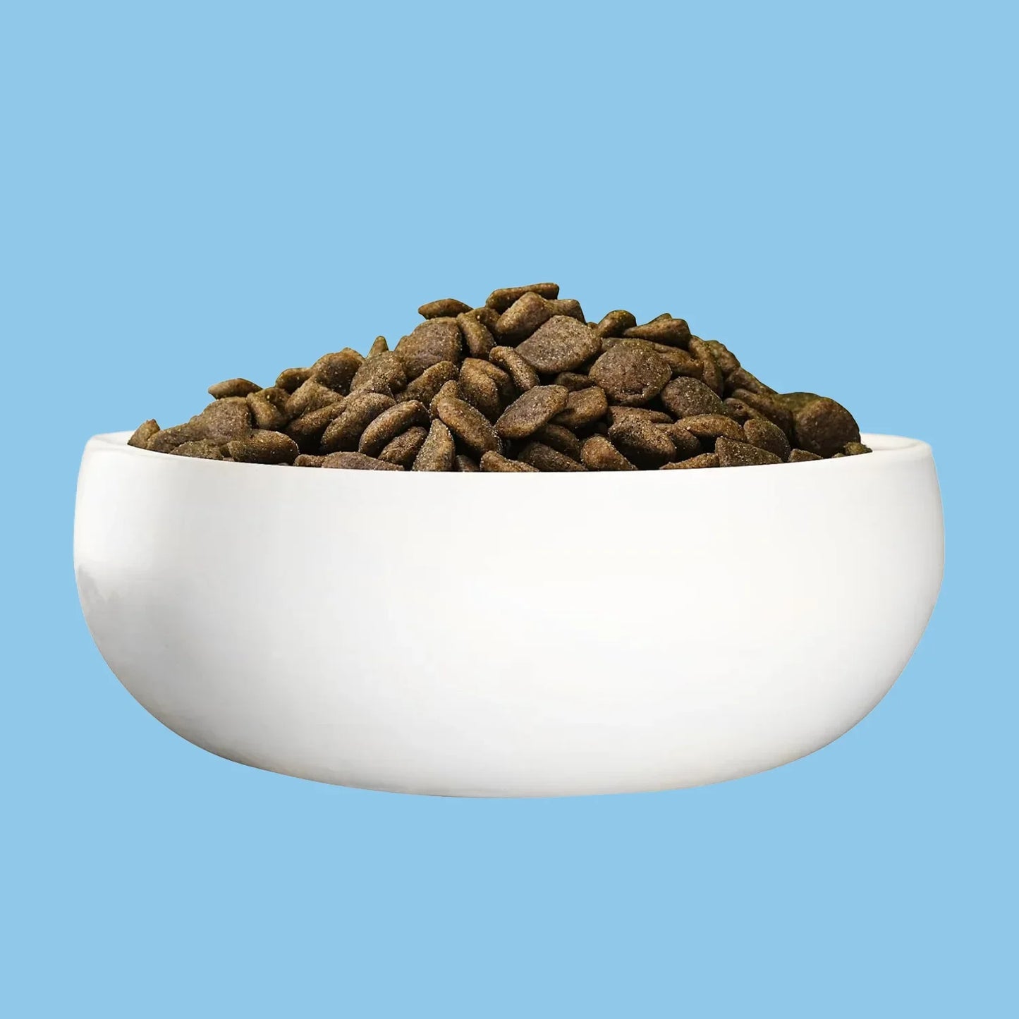 Green Petfood | InsectDog Hypoallergenic with Insect Dry Food | Vetopia