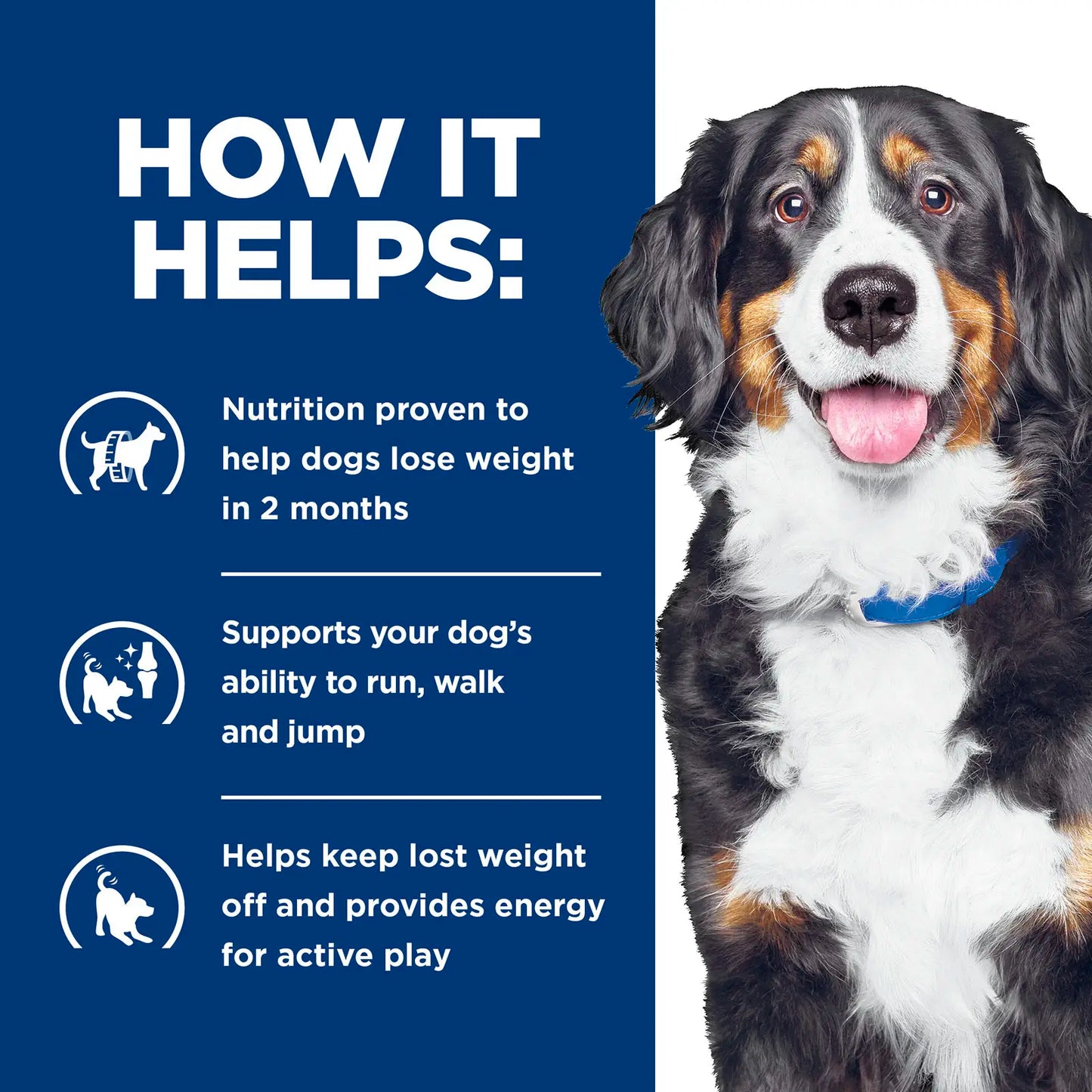 Hill's Prescription Diet - Canine J/D Metabolic Plus (Metabolic & Mobility)