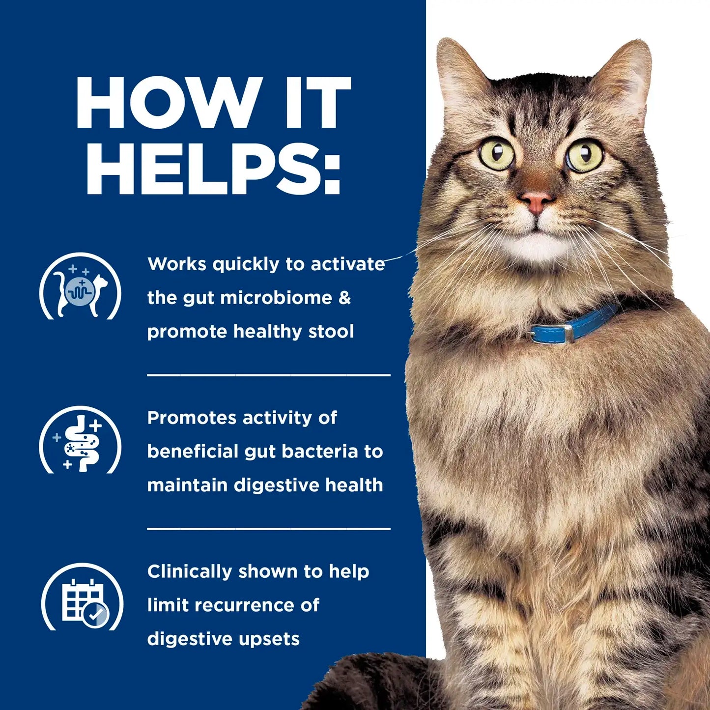 Hill's Prescription Diet - Feline Gastrointestinal Biome