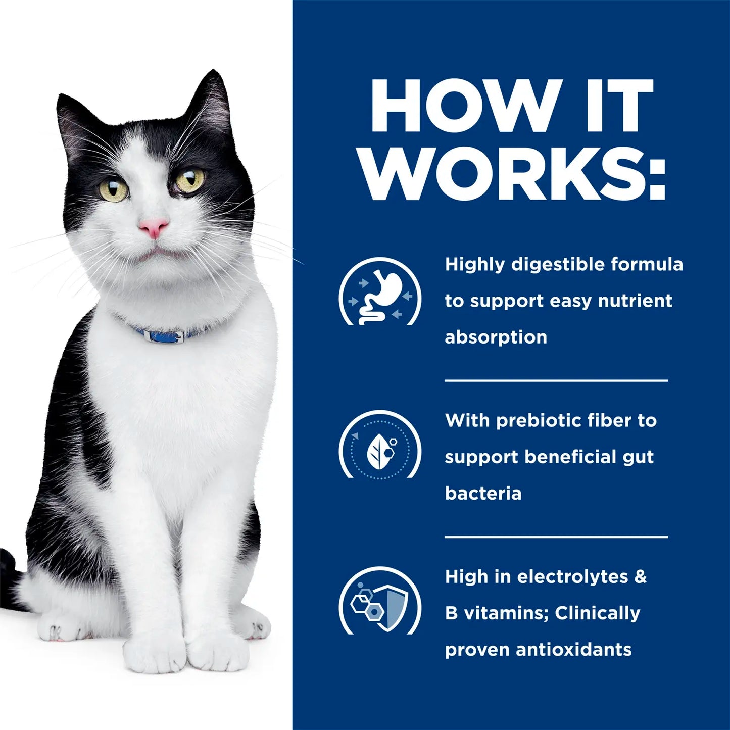 希爾思™處方食品-  貓用消化系統護理配方 4磅