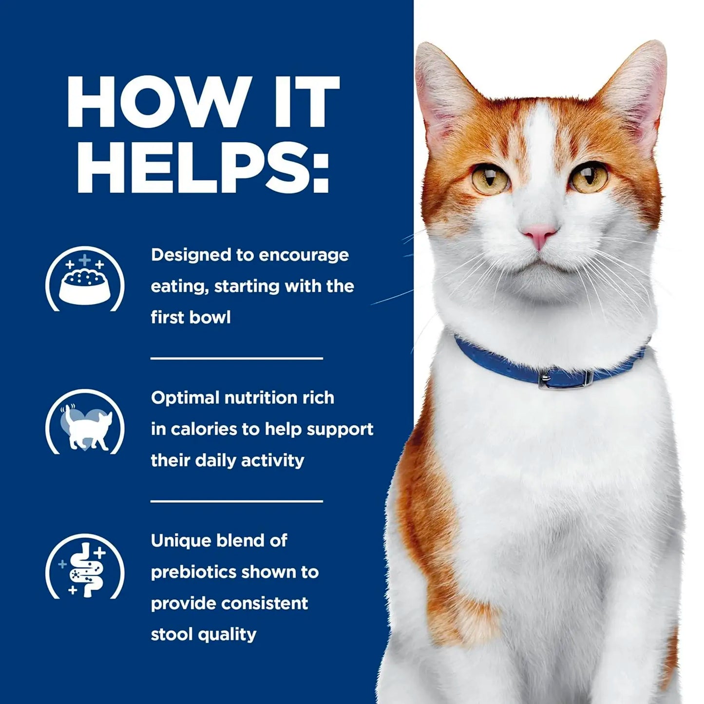 Hill's Prescription Diet - Feline ONC Cancer Care