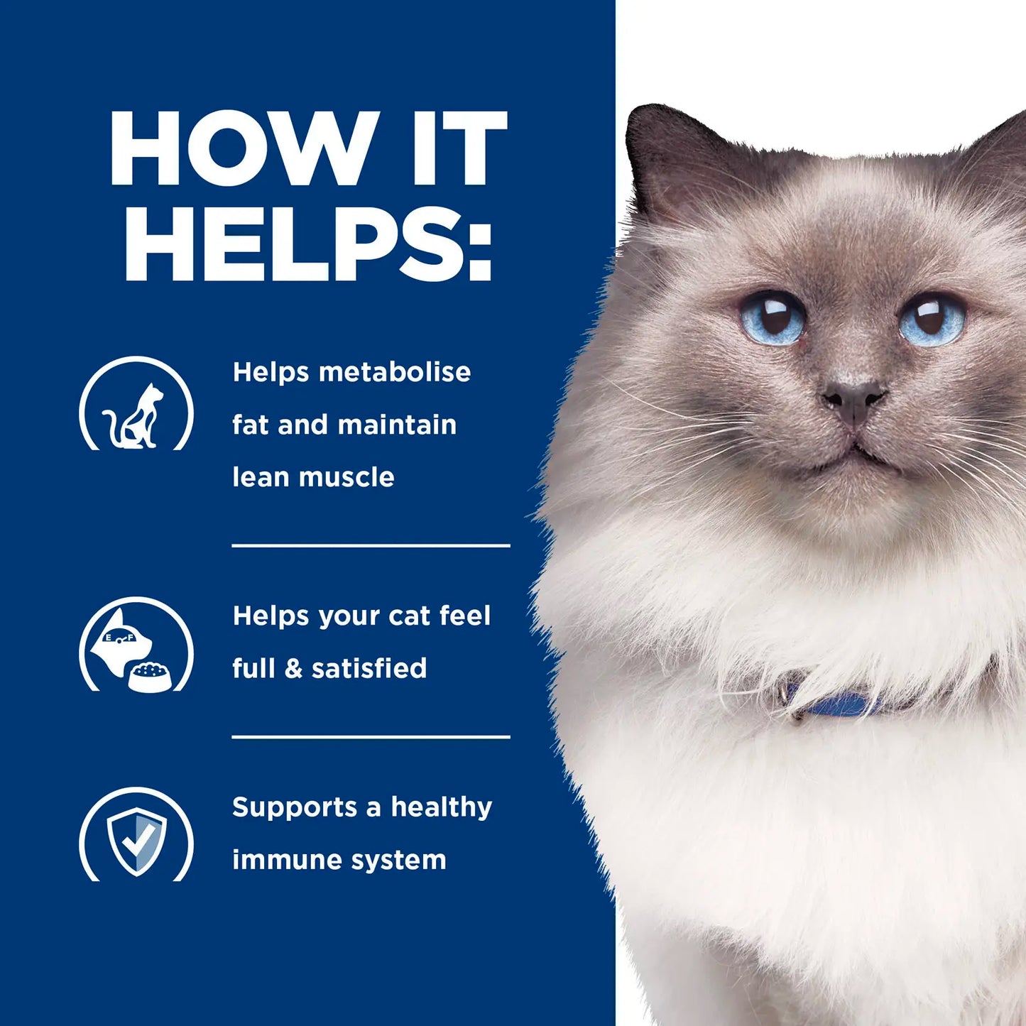 Hill's Prescription Diet - Feline R/D Weight Reduction