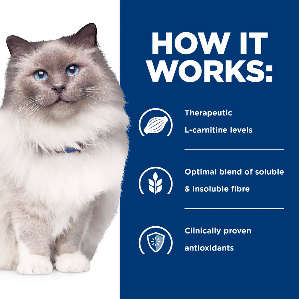 Hill's Prescription Diet - Feline R/D Weight Reduction