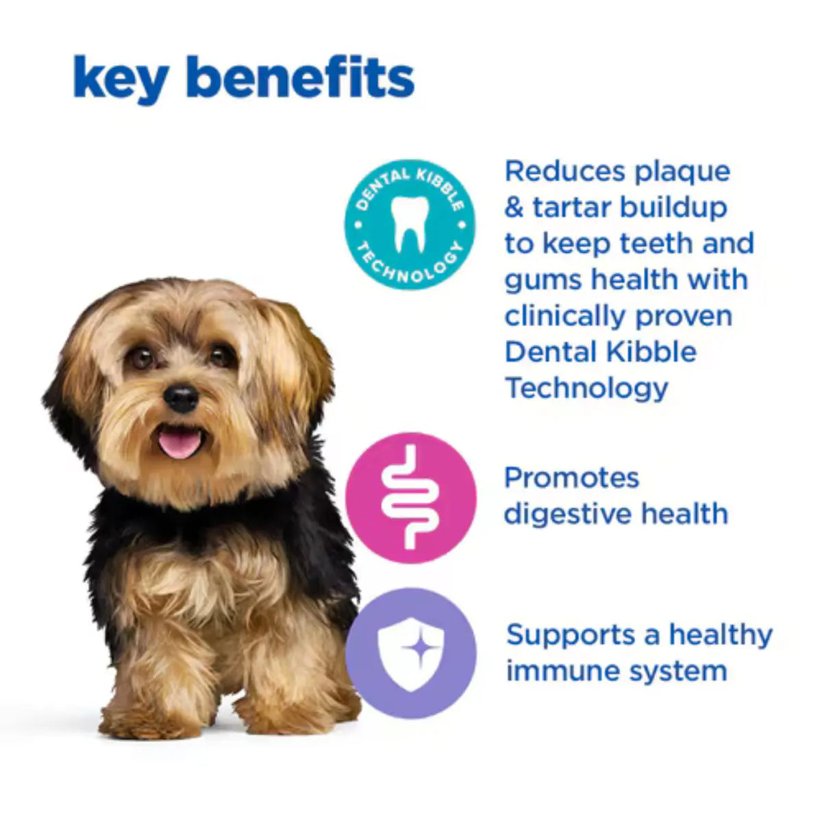 Hill's VetEssentials Diet - Canine Multi Benefit+Dental Adult "Small & Mini" Dry Food 2kg