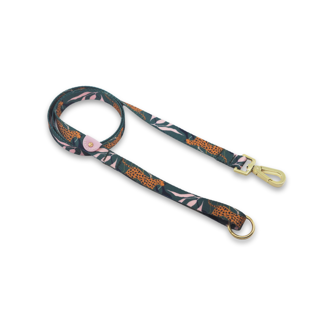 Gentle Pup - Dog Leash - Coco Congo