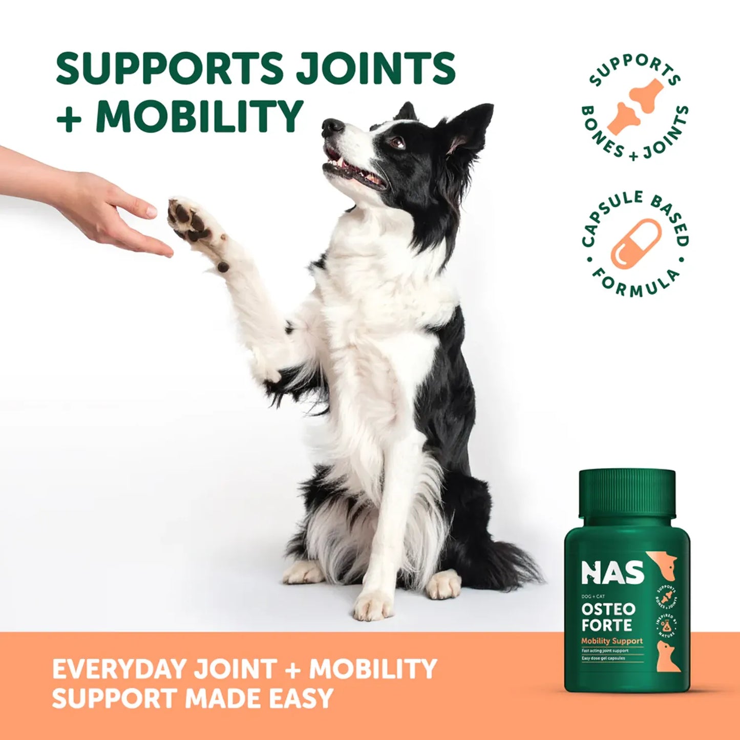 Natural Animal Solutions | OsteoForte | Vetopia