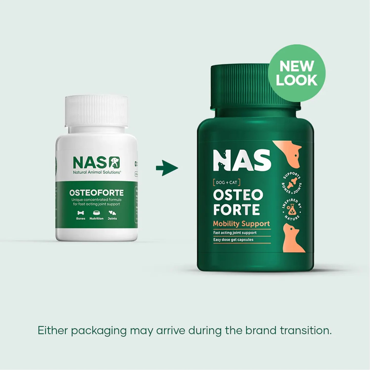 Natural Animal Solutions | OsteoForte | Vetopia
