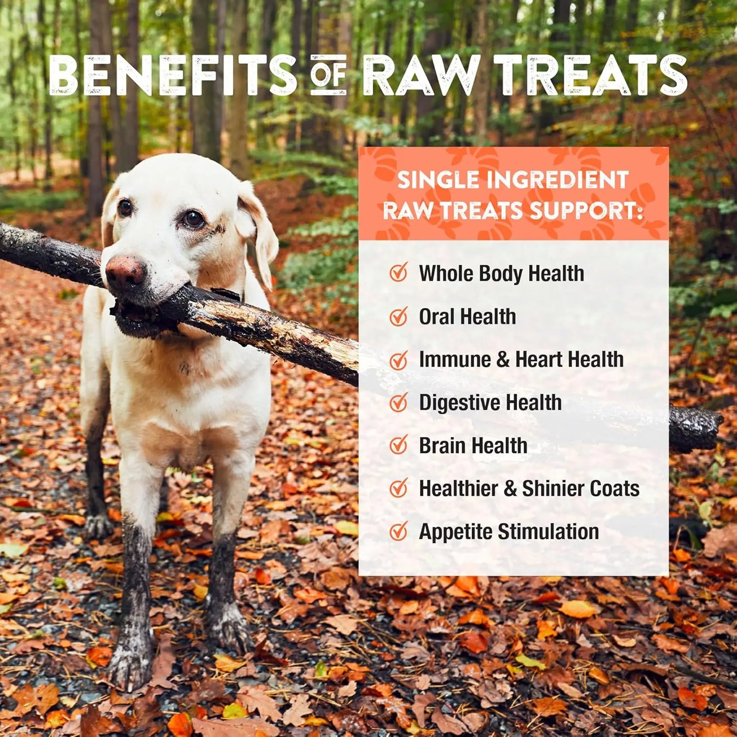 Northwest Naturals Raw Rewards Freeze Dried Treats for Dogs and Cats - Shrimp 28.35g