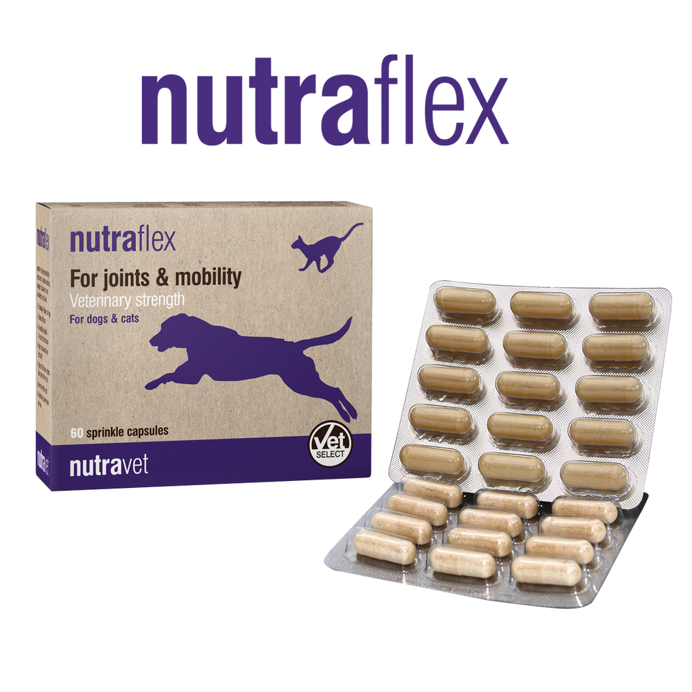 Nutraflex - Joint Supplement for Pets 60 caps