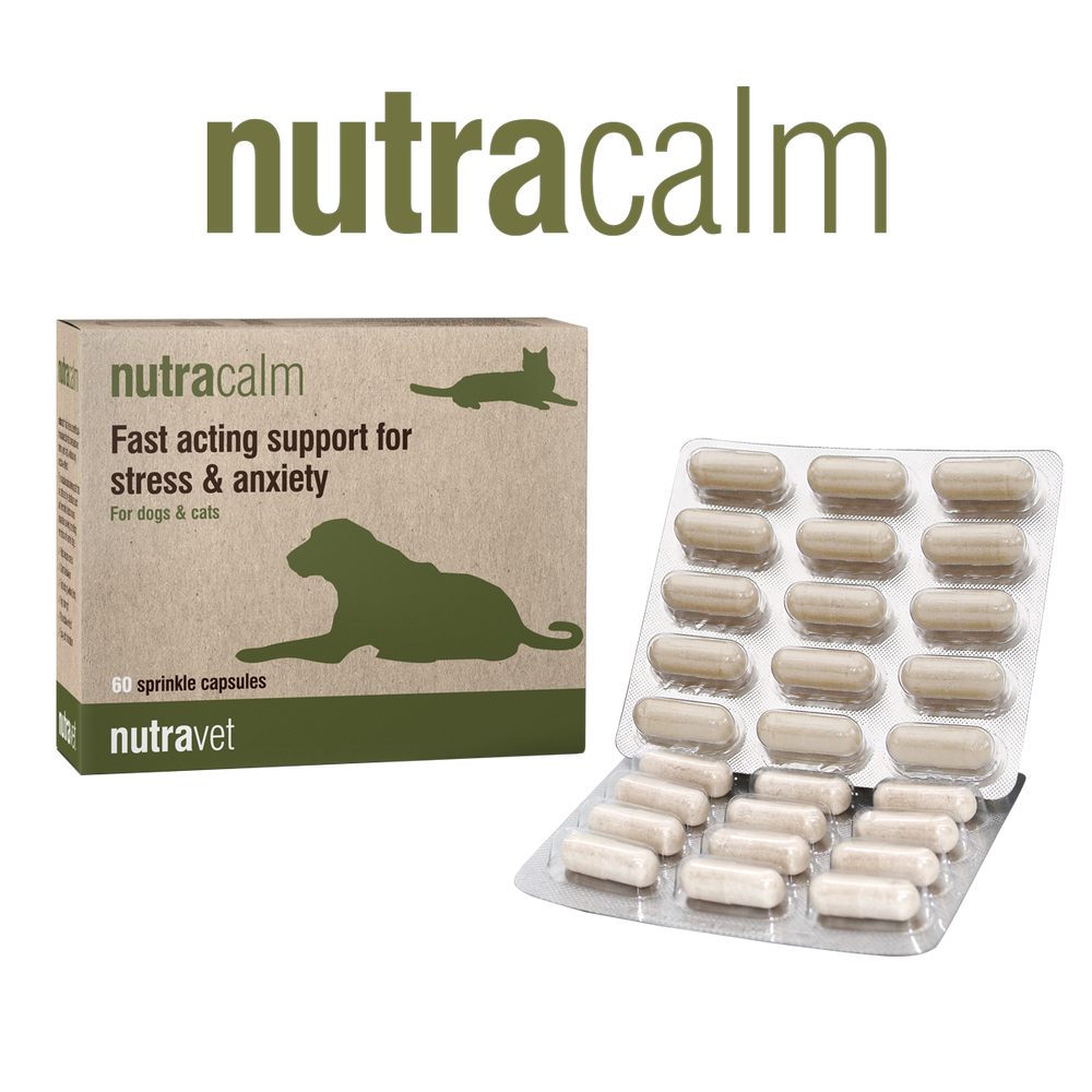 Nutravet | Nutracalm - Stress & Anxiety Pet Supplement | Vetopia