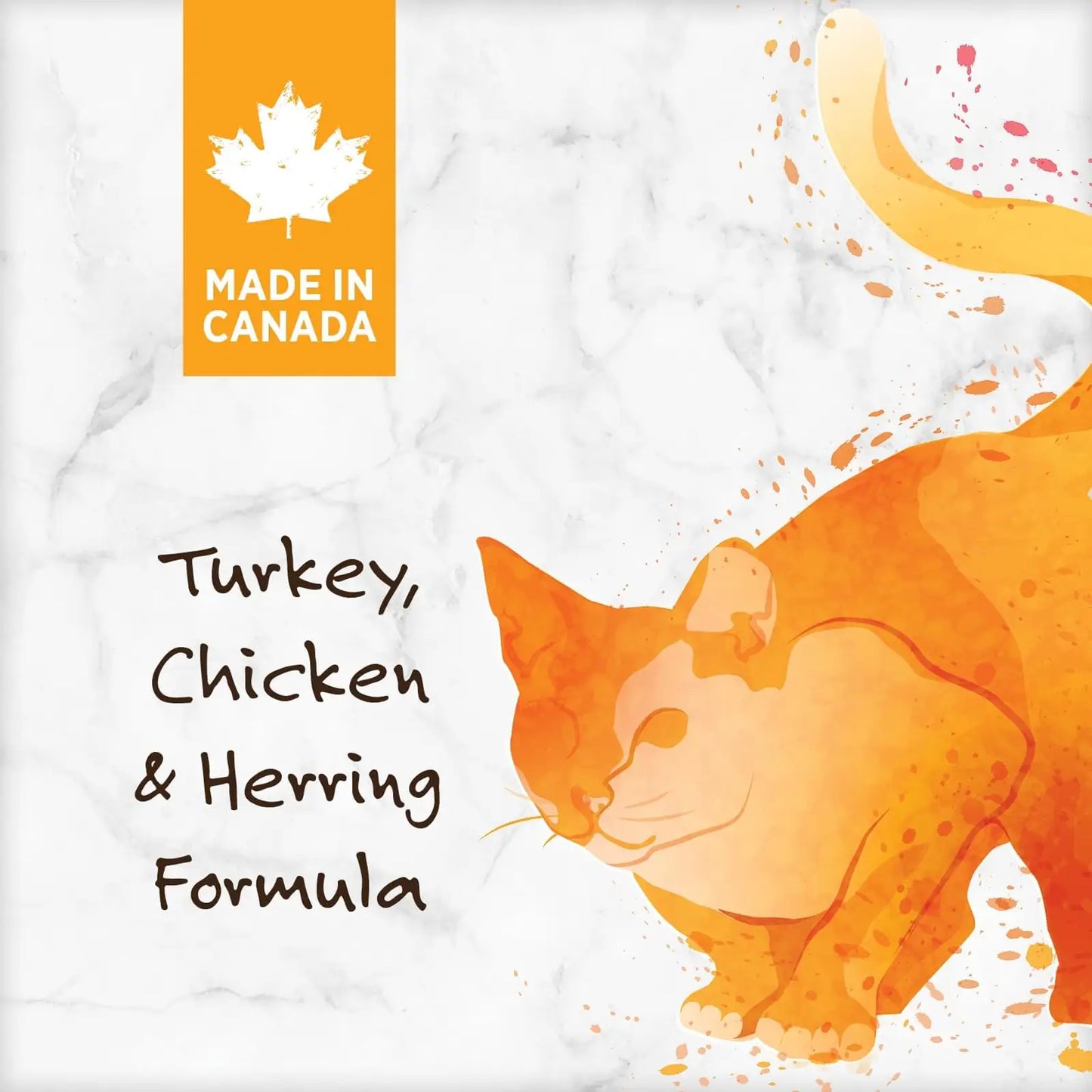 Nutrience Grain Free Cat Food - Turkey, Chicken & Herring Formula