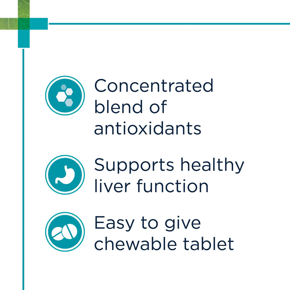 PAW - Hepatoadvanced Liver Supplements