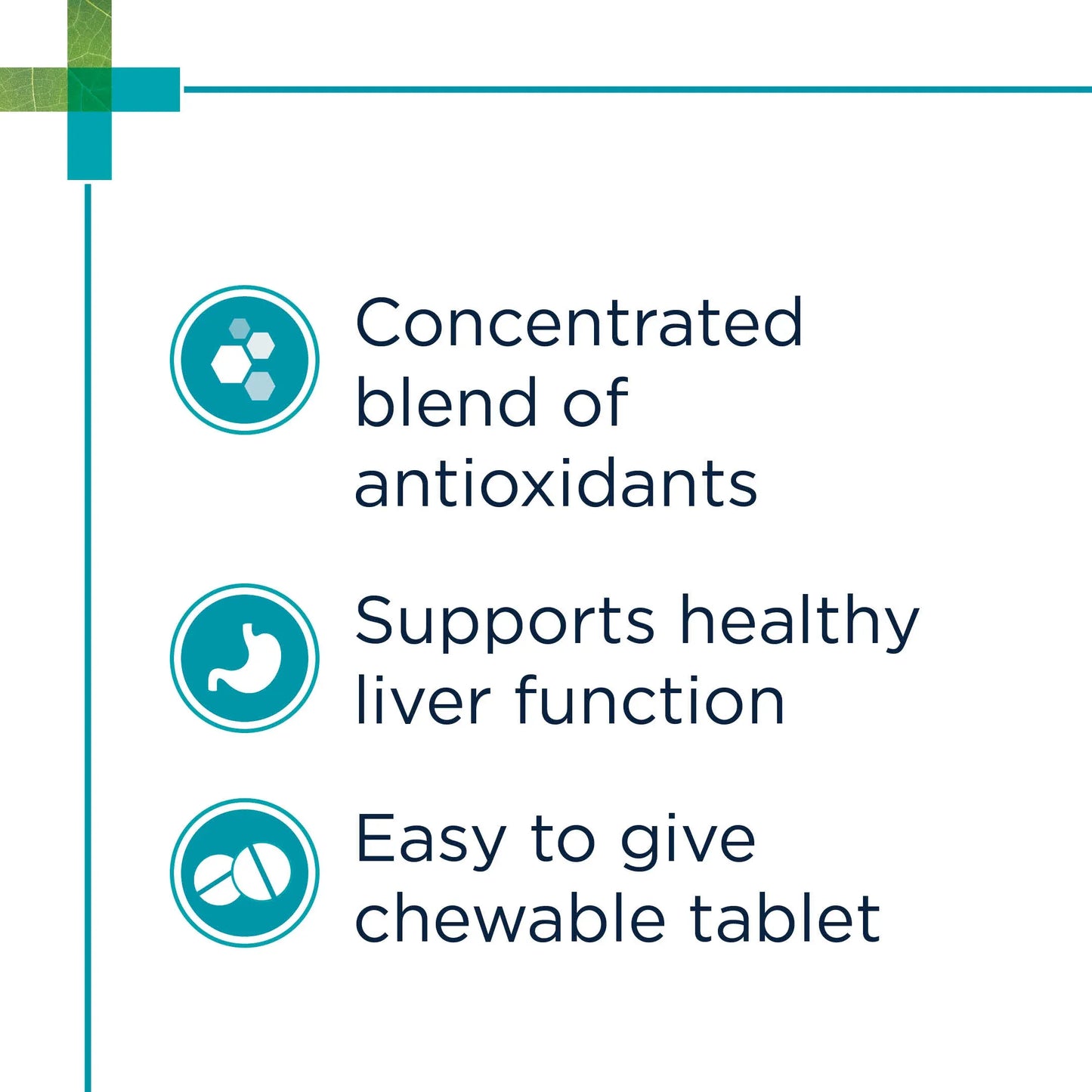 PAW - Hepatoadvanced Liver Supplements