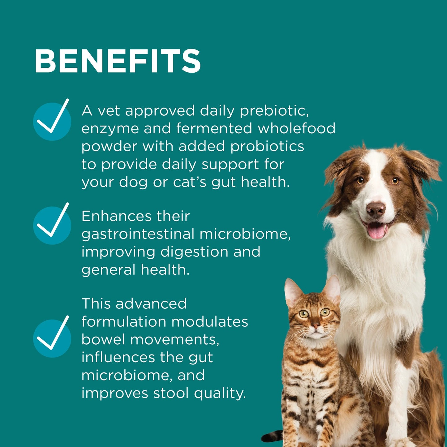 PAW - DigestiCare Pre + Probiotic Powder Digestive Supplement for Dogs & Cats 143g