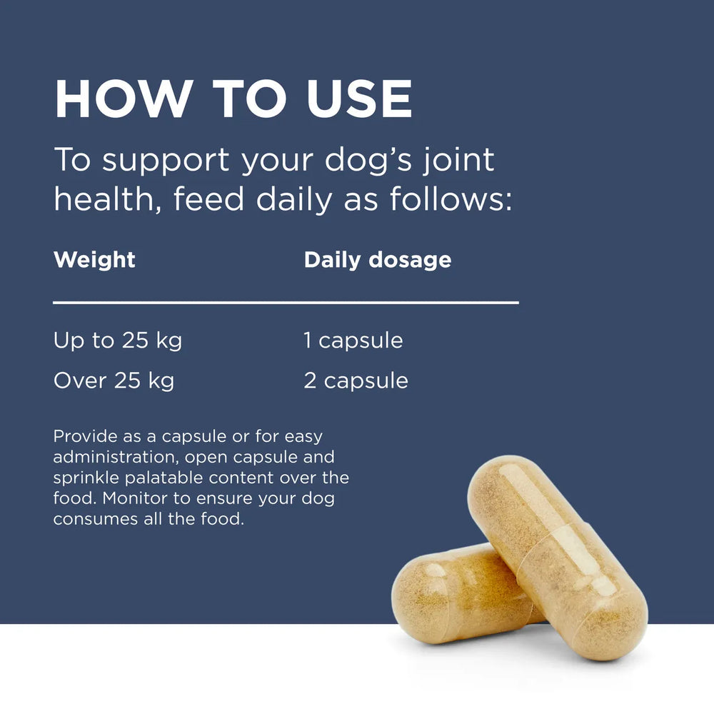 PAW by Blackmores | Osteosupport | Joint Capsules for Dogs | Vetopia