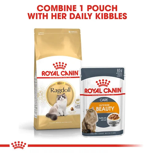 Royal Canin - Adult Ragdoll Dry Food