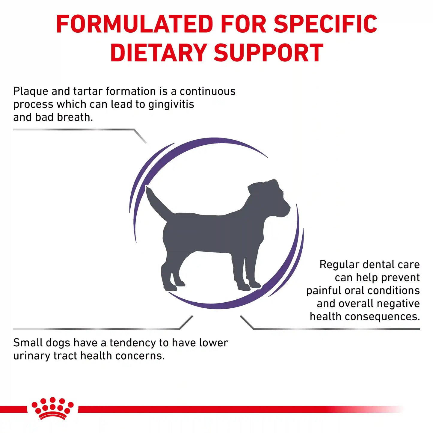 Royal Canin - Canine Dental Small Dog 1.5kg