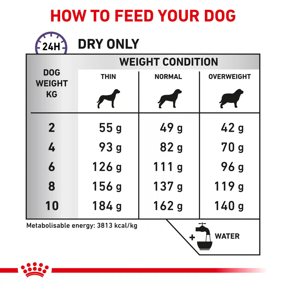 Royal Canin - Canine Dental Small Dog 1.5kg