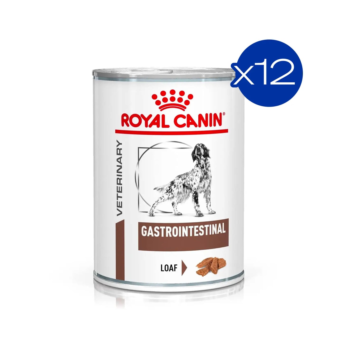 Beautiful view of Canine Gastrointestinal Soreness Prevention