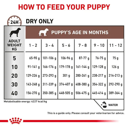 Royal Canin - Canine Gastro Intestinal Puppy 1kg