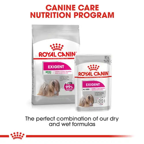 Royal Canin - Exigent Dog Loaf Wet Food 85g