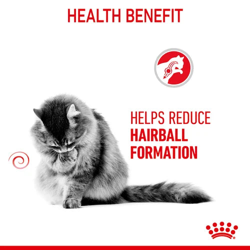 Royal Canin - Care Hairball Cat Dry Food