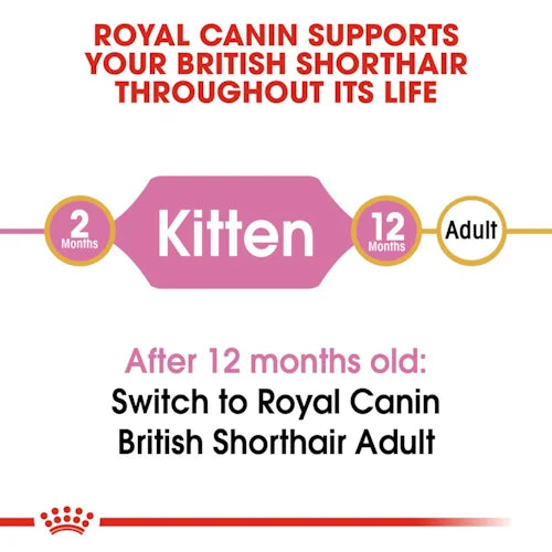 Royal Canin - Kitten British Shorthair Dry Food