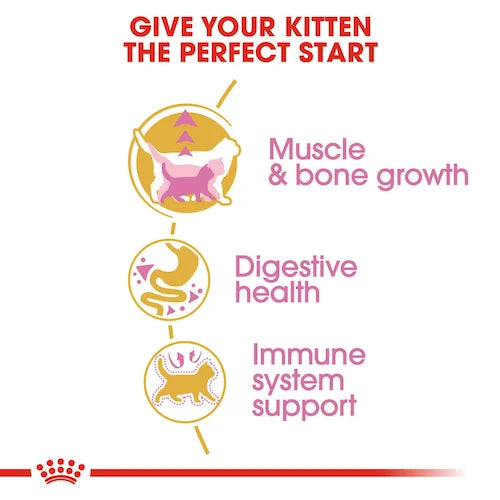 Royal Canin - Kitten British Shorthair Dry Food