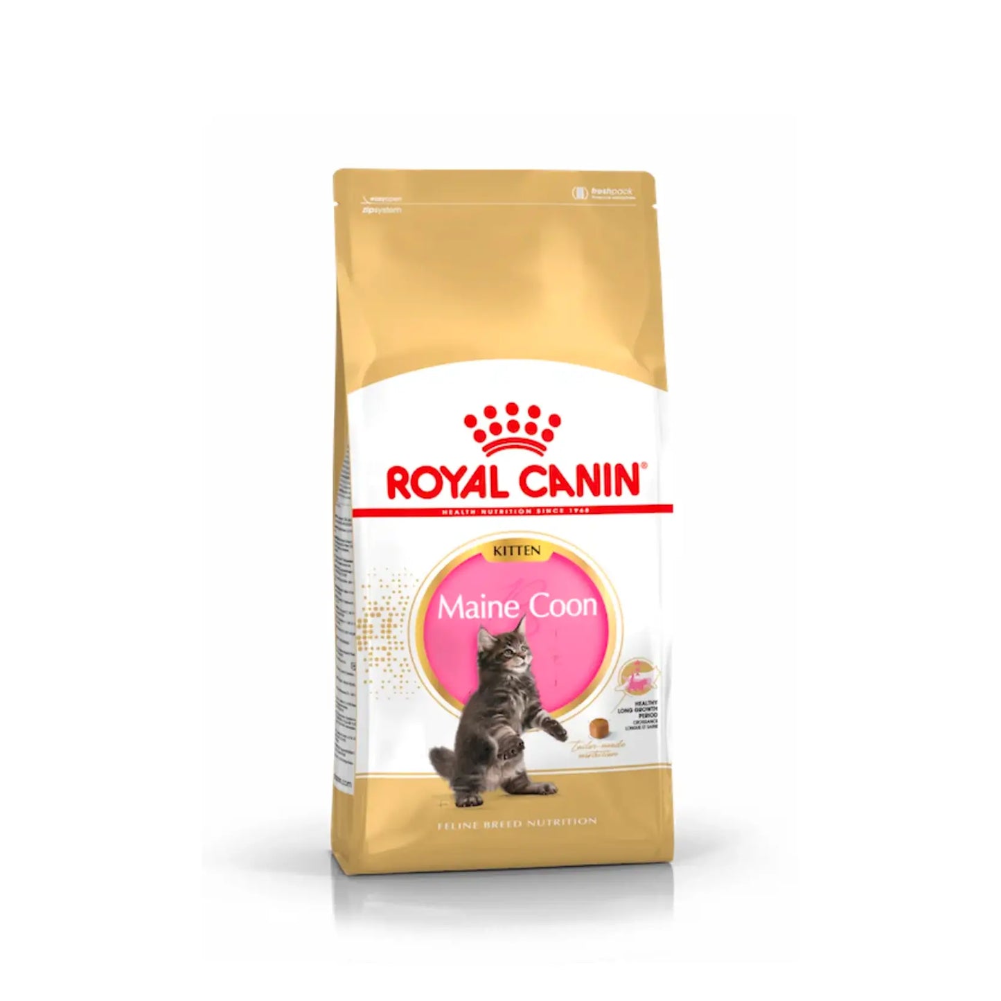 Royal Canin - Kitten Maine Coon Dry Food 10kg