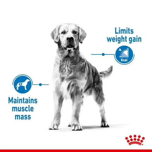 Royal Canin - MAXI Light Weight Care 12kg