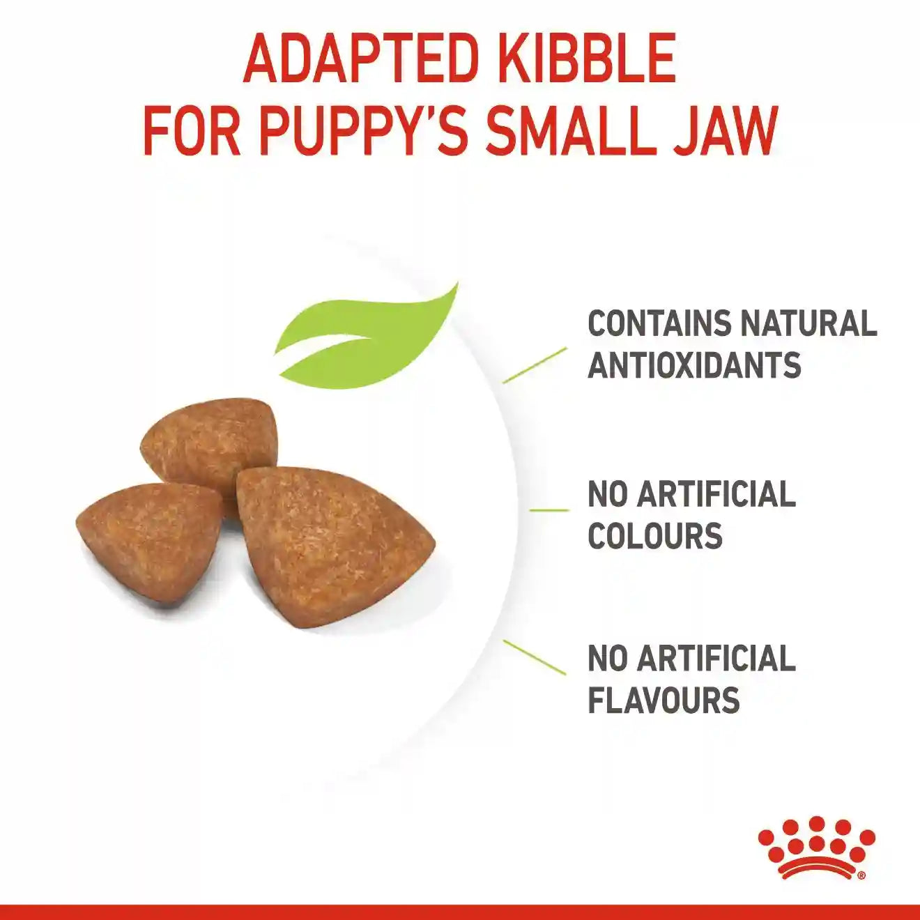 Royal Canin - X-Small Puppy Dry Food