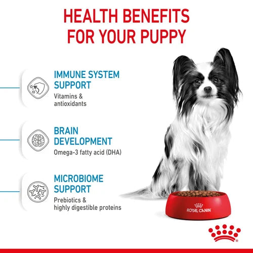 Royal Canin - X-Small Puppy Dry Food