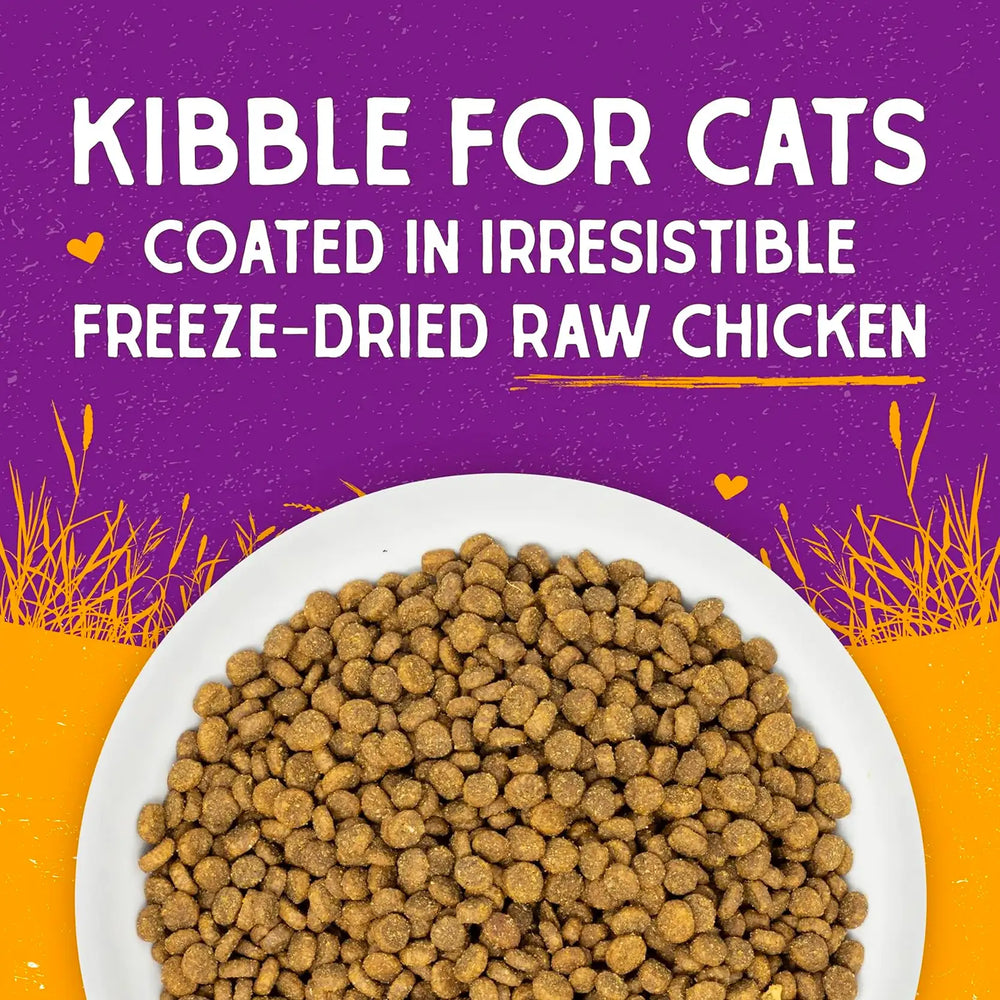 Stella & Chewy's - Freeze Dried Raw Coated Kibble for Cats (Cage-Free Chicken Recipe)