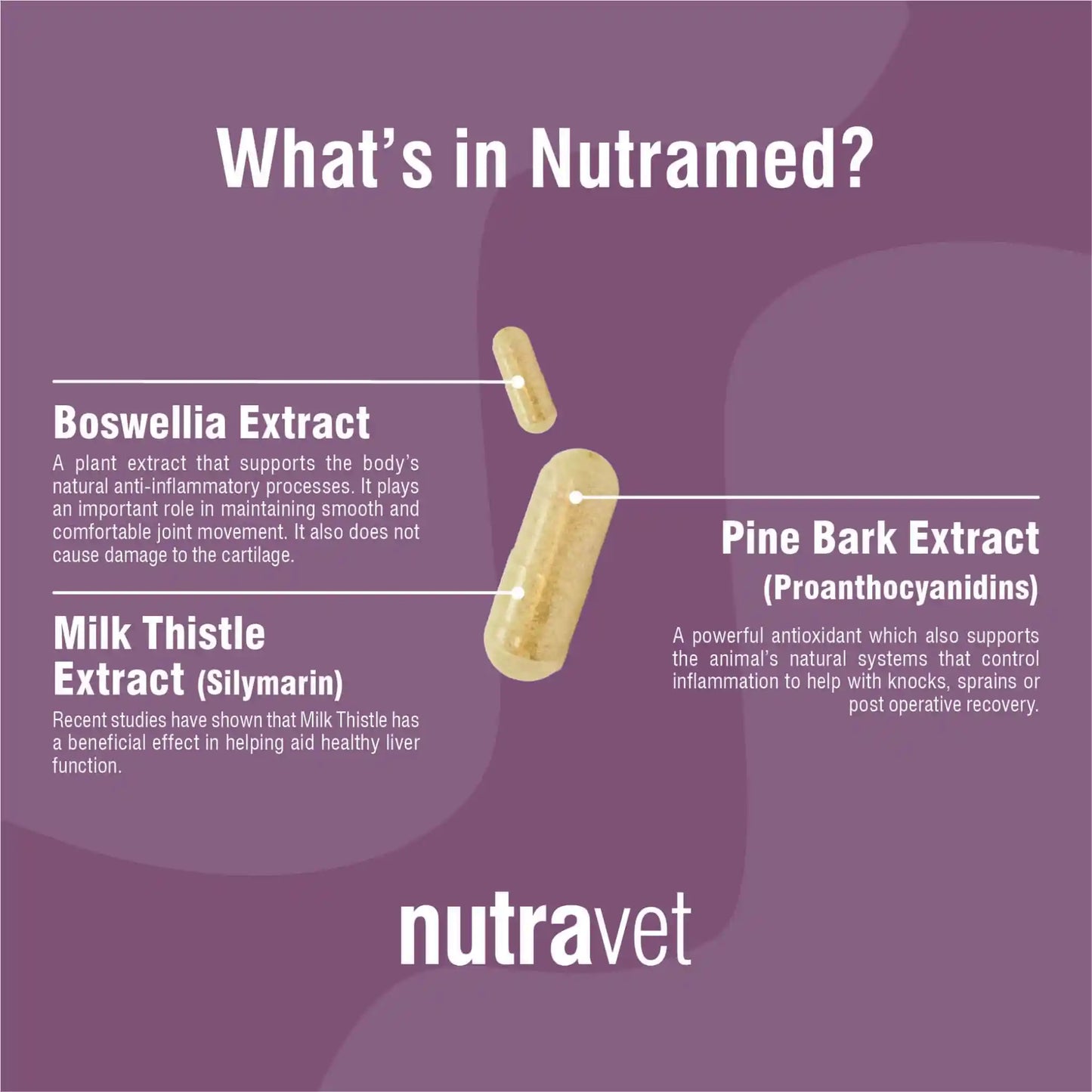 Nutramed Inflammation Control For Pets 60 caps
