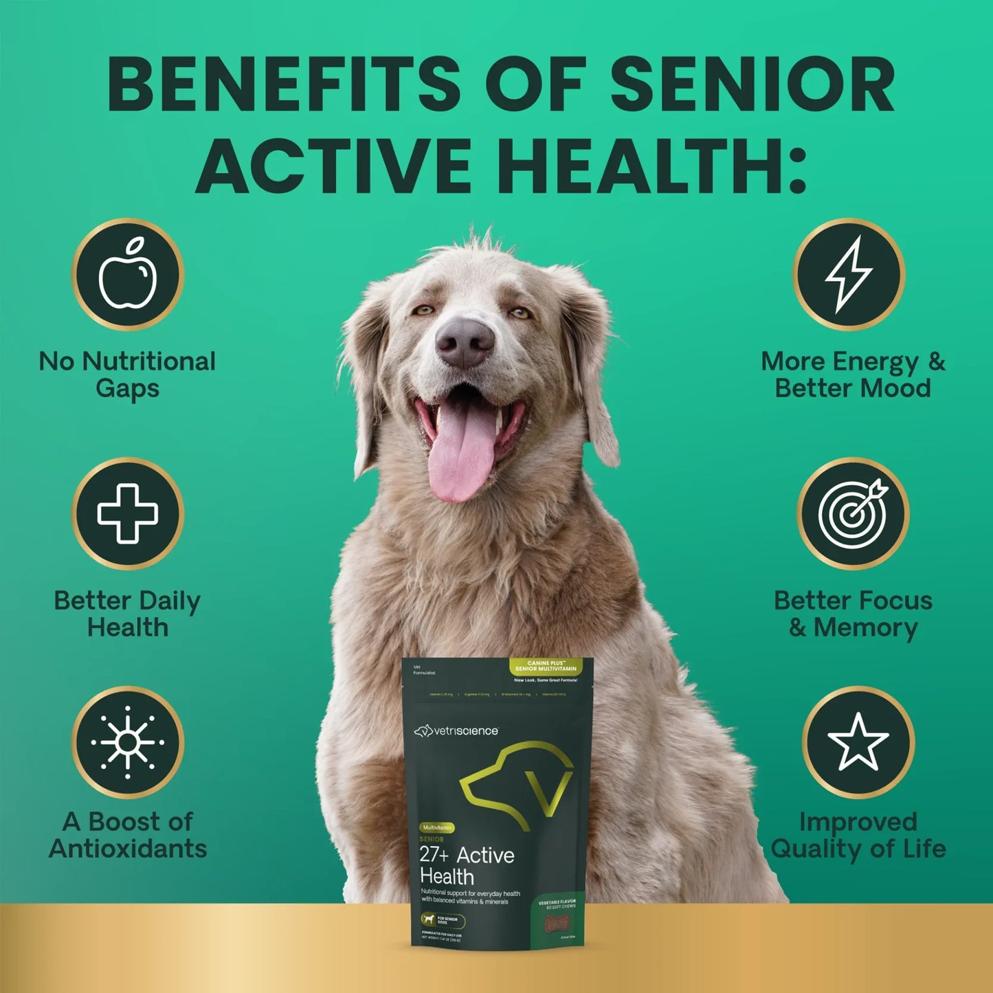 VetriScience - Canine Plus Senior Multivitamin Bite-Sized Chew (60 Chews)