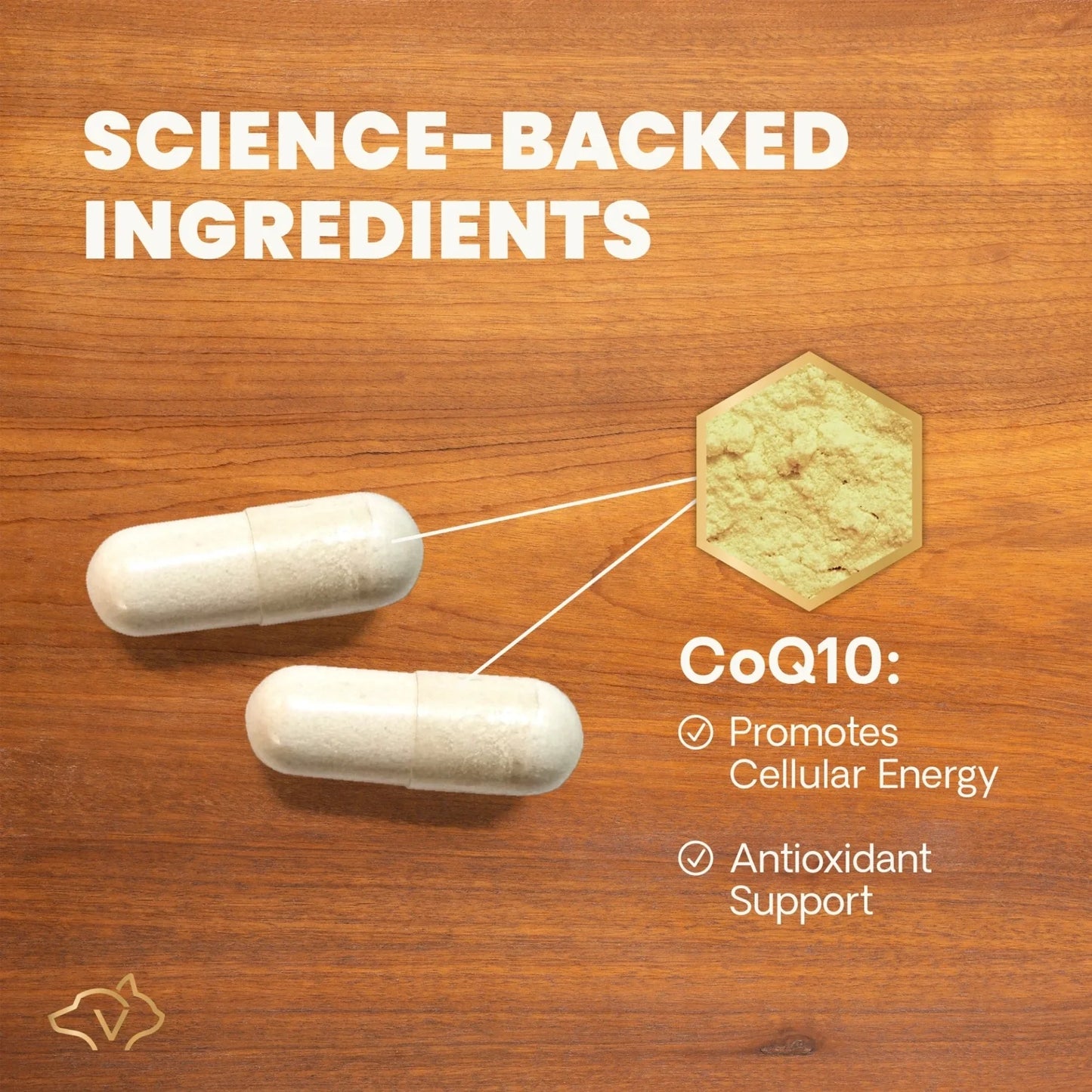 VetriScience | Coenzyme Q10 Antioxidant Supplement for Dogs & Cats