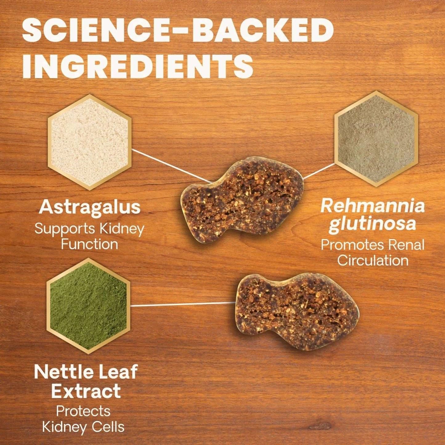 VetriScience - Feline Renal Essentials (Kidney Supplements for Cats) 120 Bite Sized Chews