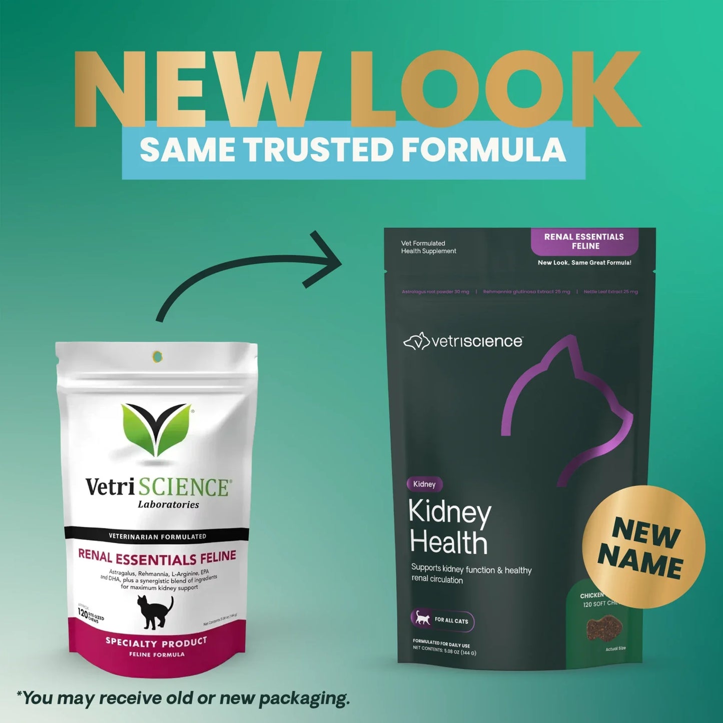VetriScience - Feline Renal Essentials (Kidney Supplements for Cats) 120 Bite Sized Chews