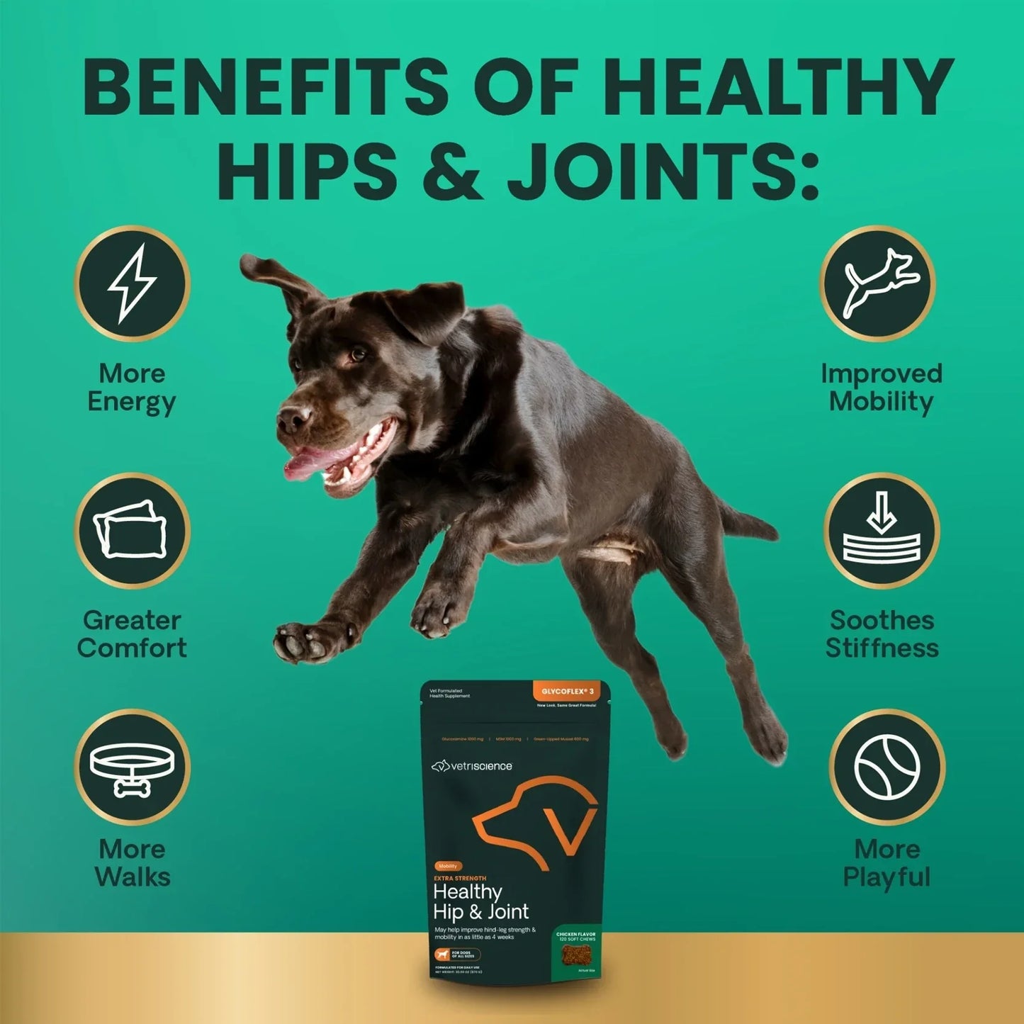 VetriScience | GlycoFlex 3 Bite Sized Chews Dog Joint Supplement | Vetopia