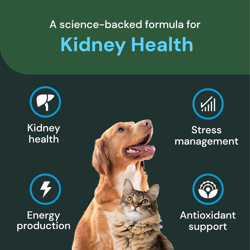 VetriScience - Renal Essentials Pro Bite Sized Chews (Kidney Supplements for Dogs & Cats) 60 Chews