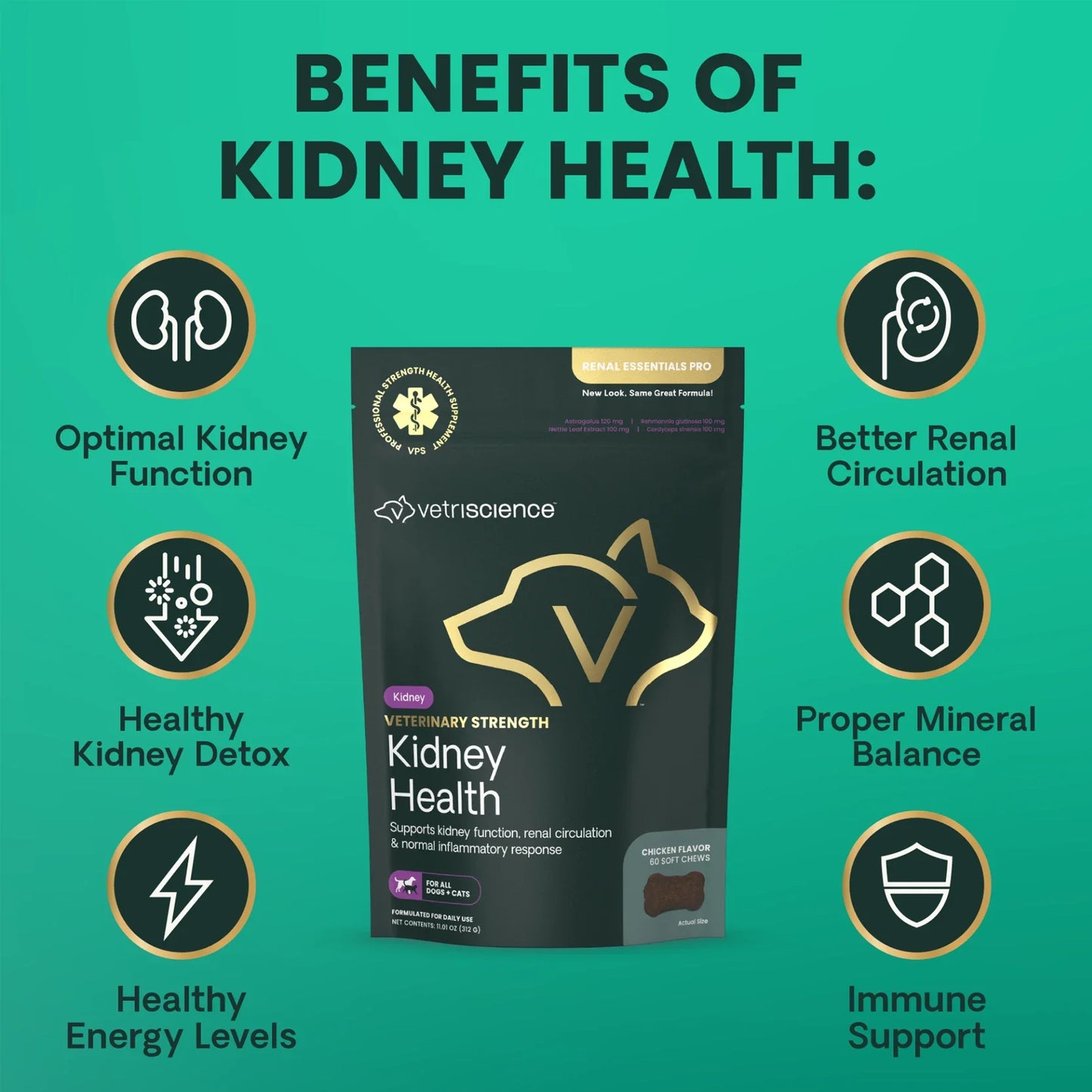 VetriScience - Renal Essentials Pro Bite Sized Chews (Kidney Supplements for Dogs & Cats) 60 Chews