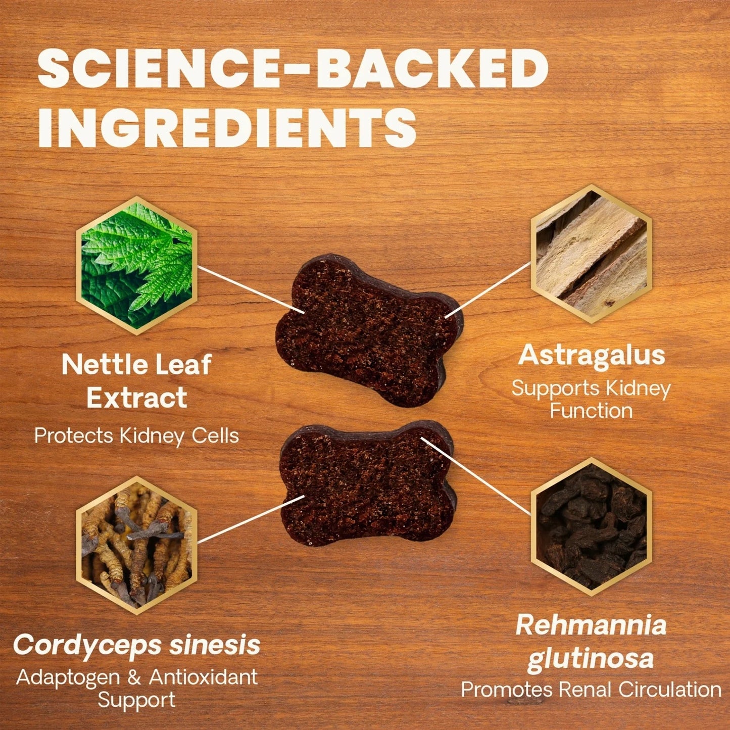 VetriScience - Renal Essentials Pro Bite Sized Chews (Kidney Supplements for Dogs & Cats) 60 Chews