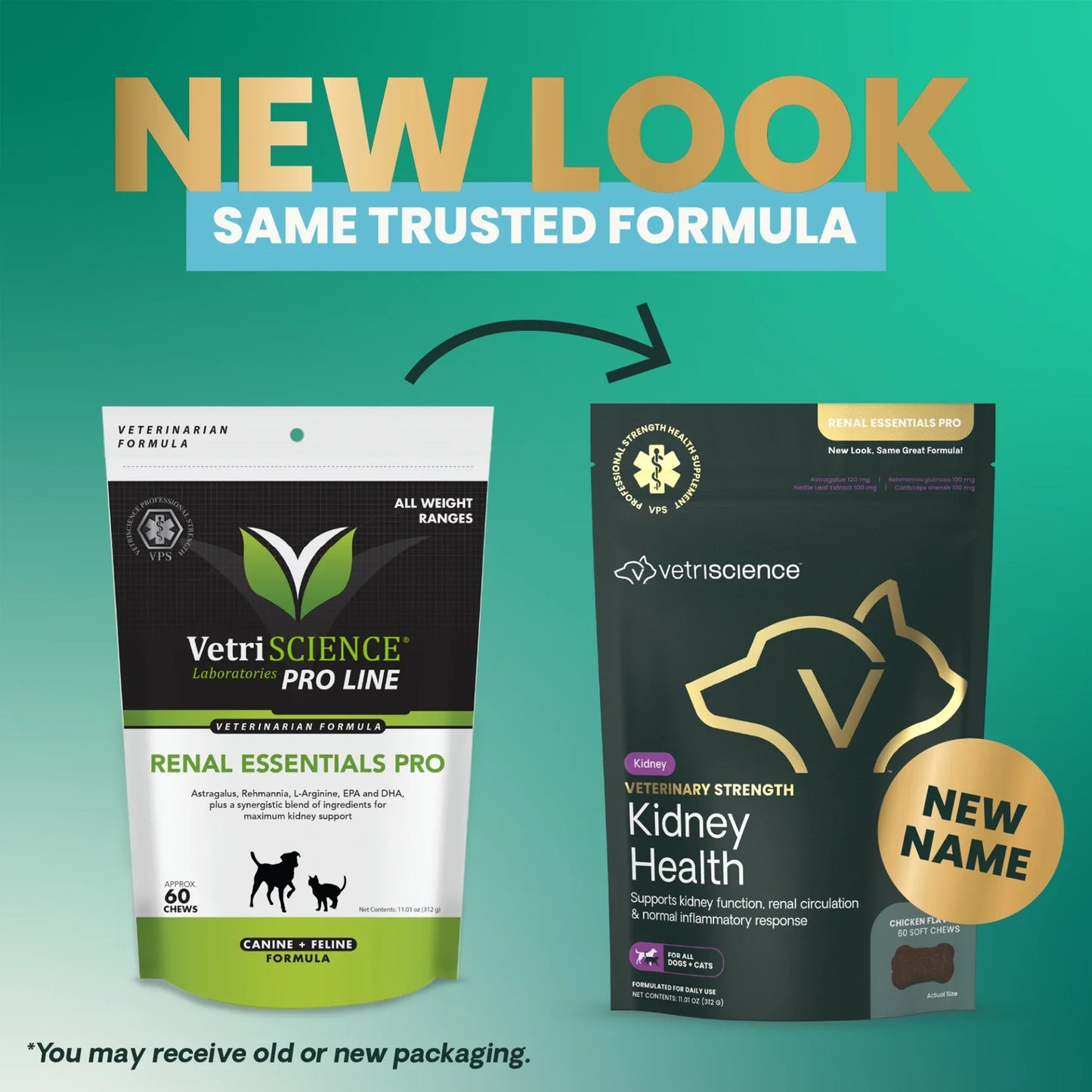 VetriScience - Renal Essentials Pro Bite Sized Chews (Kidney Supplements for Dogs & Cats) 60 Chews